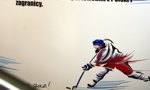02.12.2013 - spotkanie organizacyjne uczestnikw projektu Hokejowe Nadzieje Olimpijskie