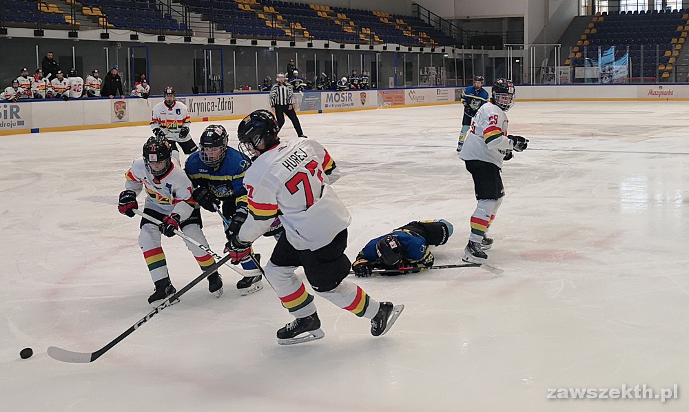 KTH Krynica-Zdr�j - HC Bulls Vranov