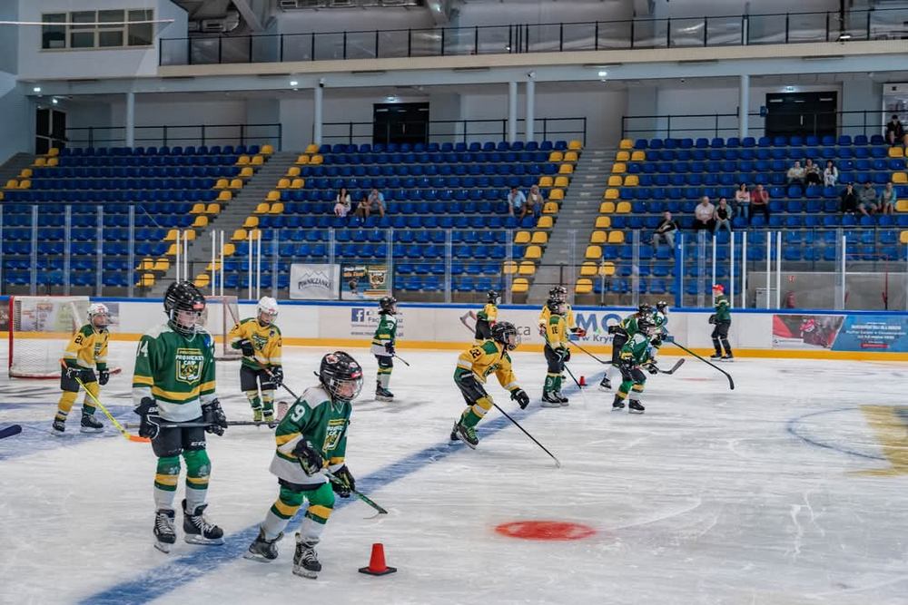 Pro Hockey Camp