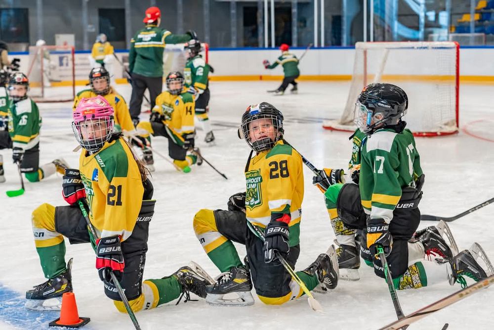 Pro Hockey Camp